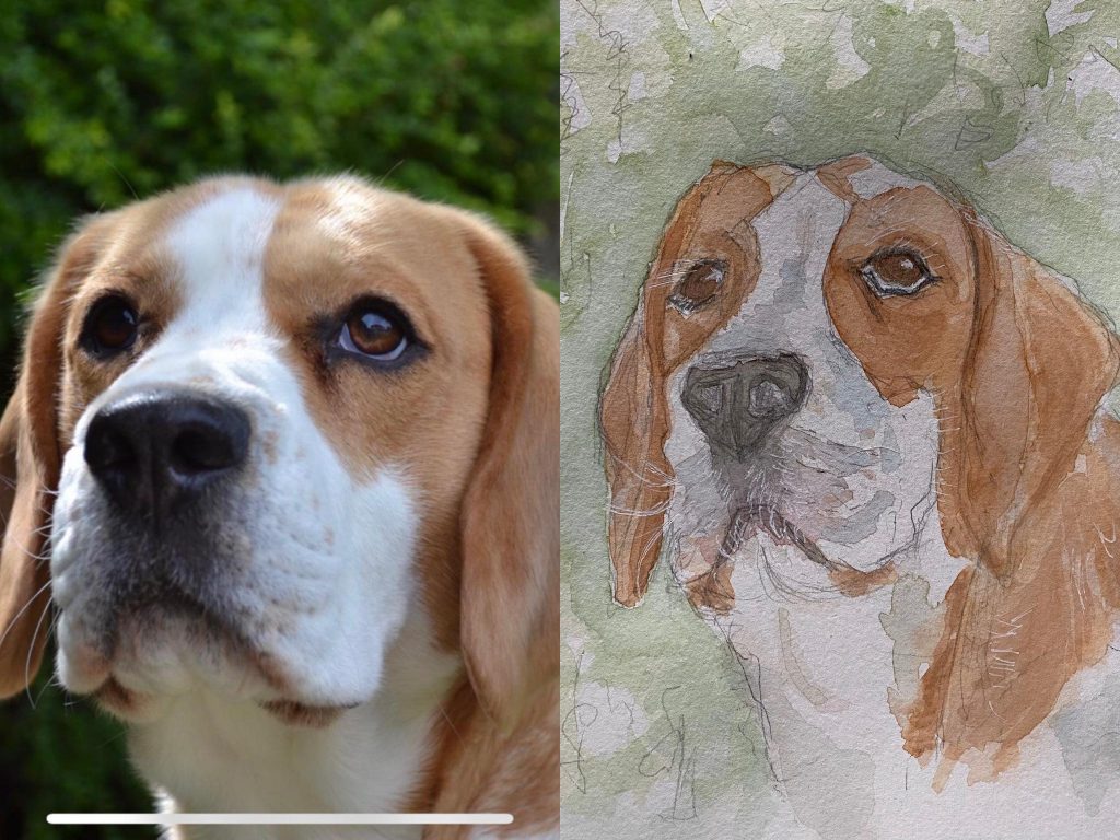 Troy , pet portraits