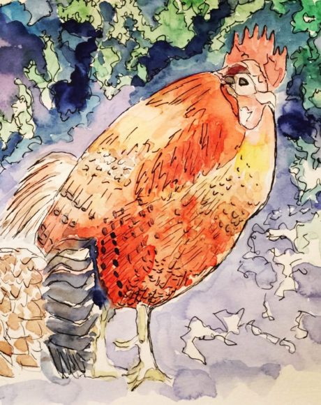 Year of the rooster